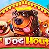 The dog house slot